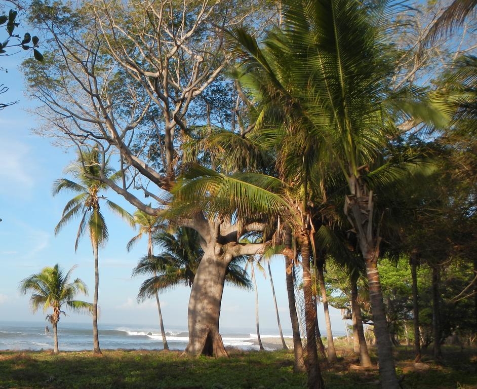Punta Roca Surf Resort ลาลิแบร์ตัด ภายนอก รูปภาพ